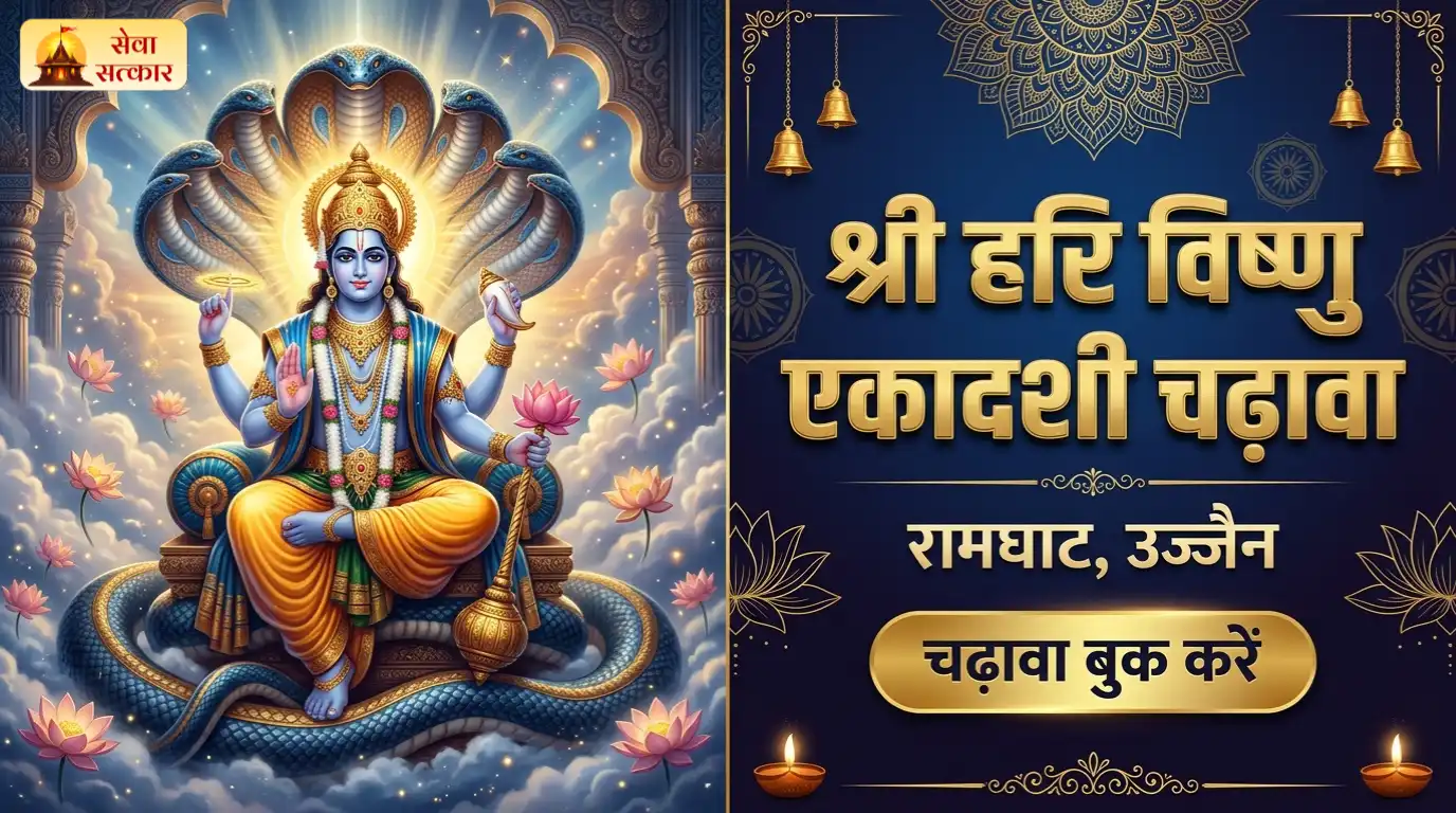 Chadawa Images