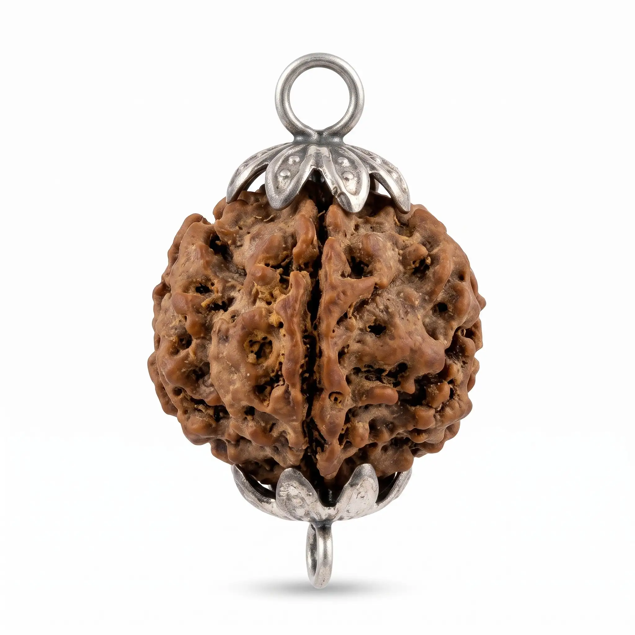 Natural Rudraksha Seed Pendant with Silver Cap